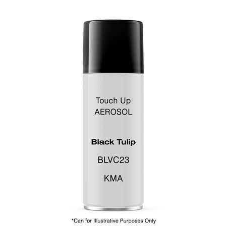 Touch Up Aerosol Black Tulip (BLVC23/KMA) - RX4151A